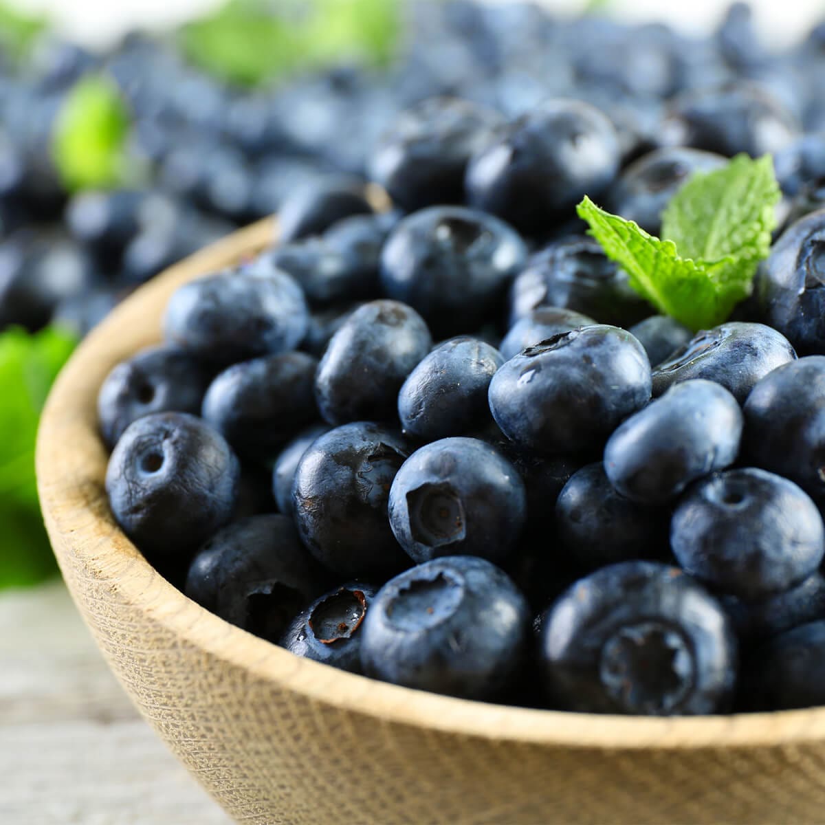 images of blueberries