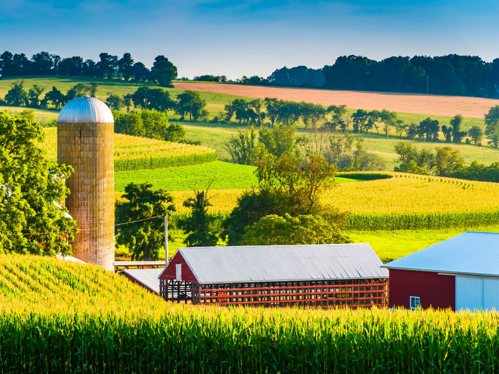 image of farm field and barn